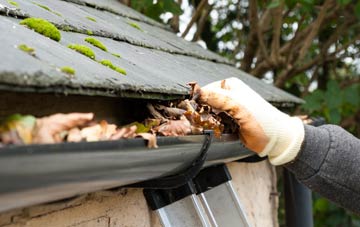 gutter cleaning Tigerton, Angus